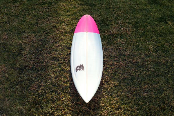 Blacks Beauty – Speed Wagon